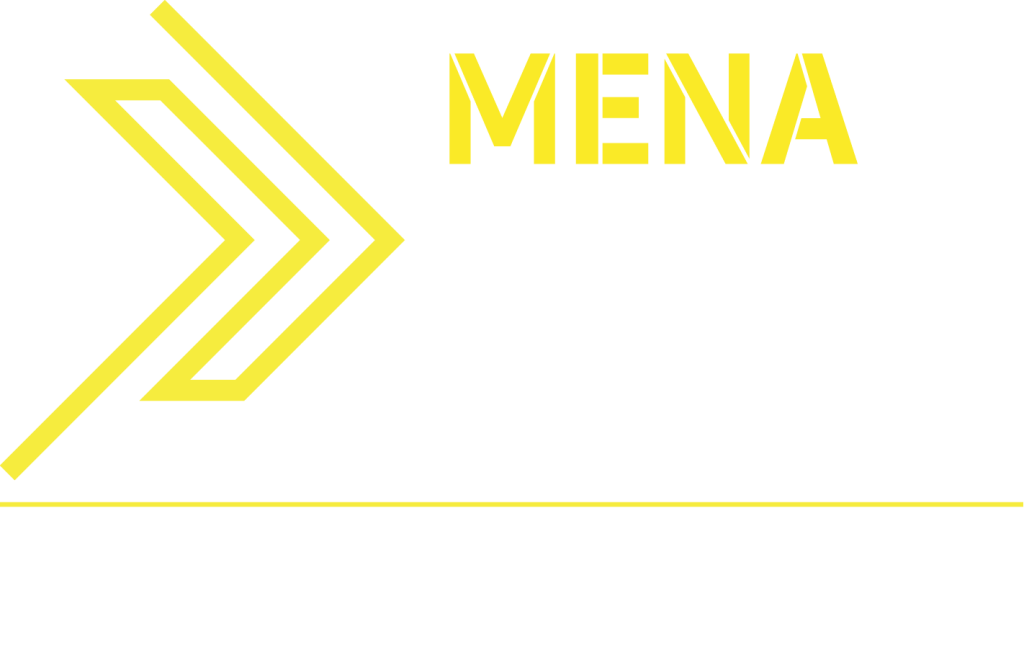 MENA Search Awards 2025 winner